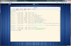 Fedora19 on VMware